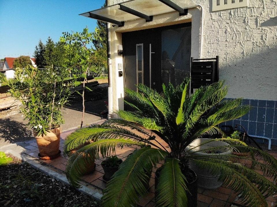 Sonnige 3 Zimmer Wohnung Mit Schoenem Balkon Im Gruenen 罗伊特林根 外观 照片